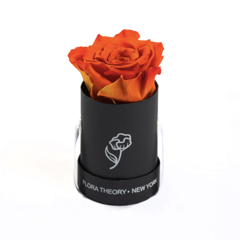 Preserved Roses Mini Black Box – Candy Red-Flowers-DREEMS