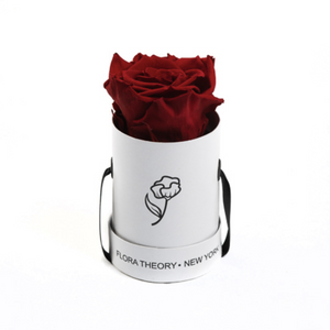 Preserved Roses Mini White Box – Red-Flowers-DREEMS