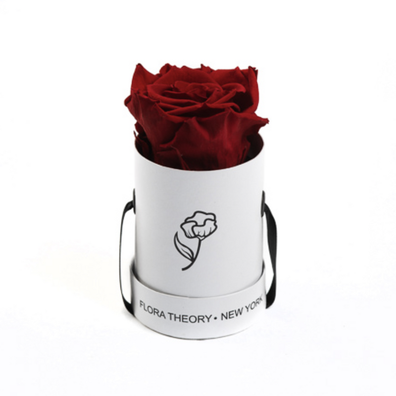 Preserved Roses Mini White Box – Red-Flowers-DREEMS